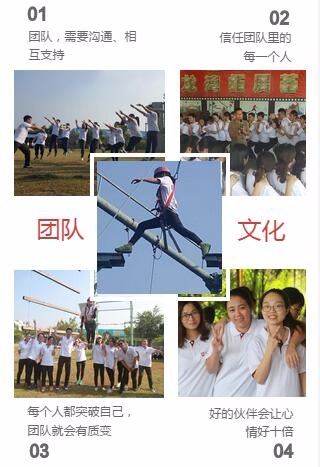 2023年奥门原料免费资料