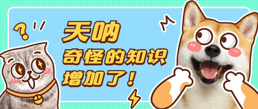 2023年奥门原料免费资料